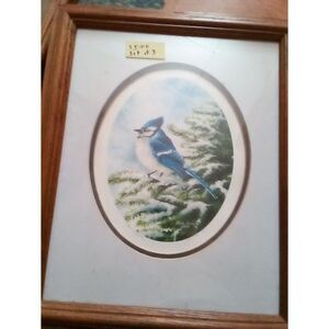 Blue Bird on Snowy Branch Gallery Framed Signed and numbered oak frame and mat